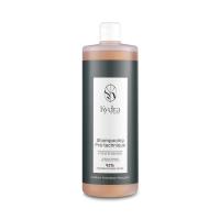 Kydra Pre-Technique Alkaline pH Shampoo - Подготовительный технический шампунь для волос с экстрактом Сигезбекии