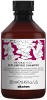 Davines Natural Tech Replumping Shampoo - Уплотняющий шампунь